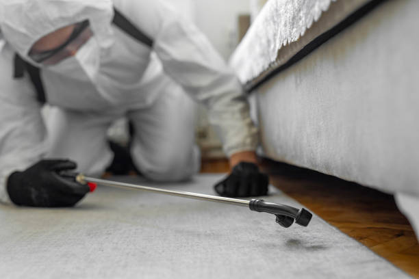 Professional Pest Control technician working in Hays County County, TX